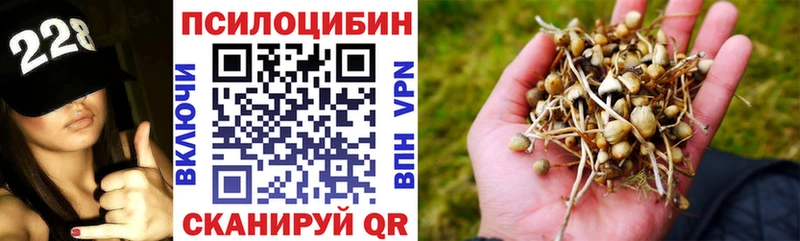 Купить закладки  Рудня  Псилоцибиновые грибы мухоморы 