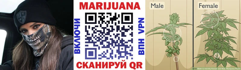 Каннабис марихуана  Купить закладки  Рудня 